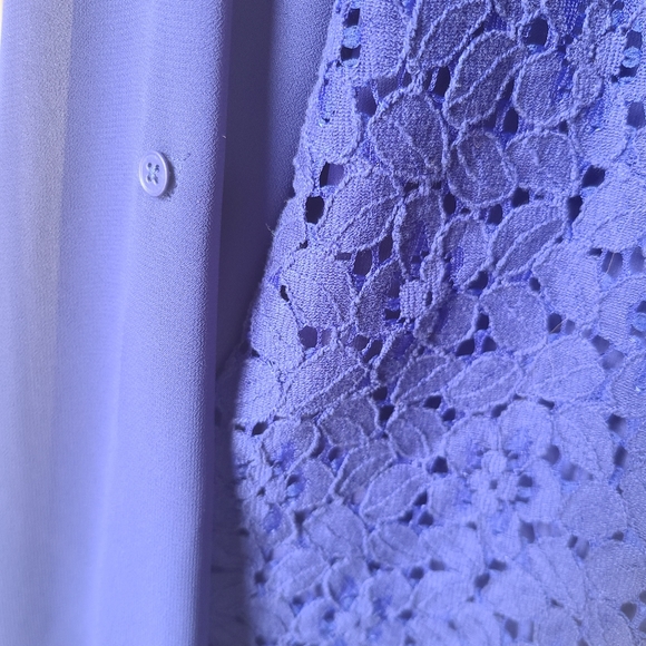 T Tahari Indigo Sheer Floral Embroidered Long Sleeve Button Up Top Size Medium - Picture 8 of 10